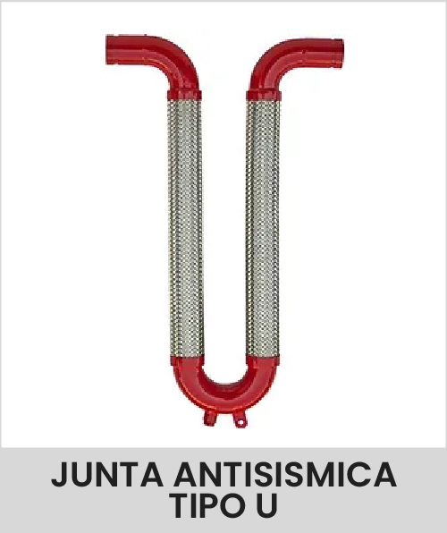 Descripción de la imagen